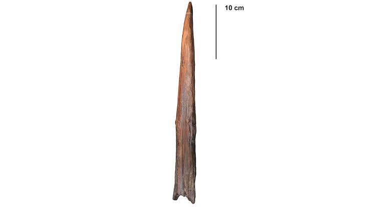What's the oldest weapon in the world?