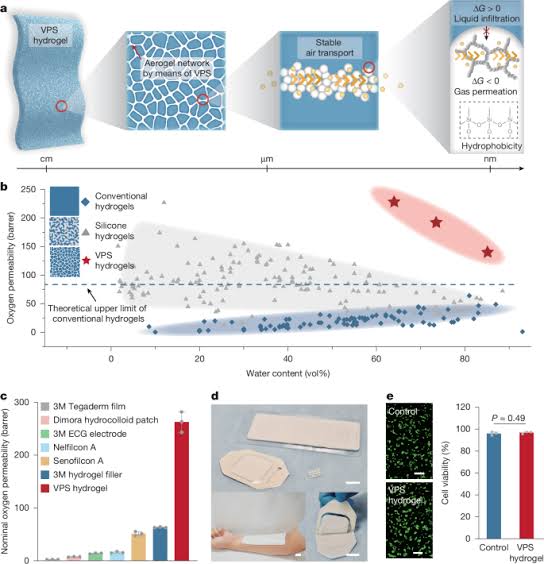 Air-permeable hydrogels through viscoelastic phase separation of aerogels