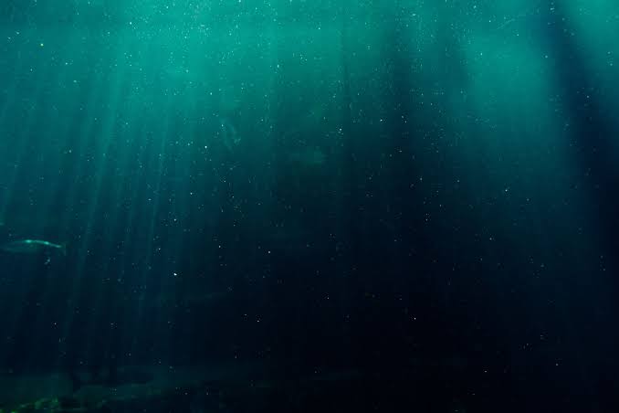 In nearly seventy years of deep-sea exploration, researchers compiled 43,681 submersible dive records — and found that humans have visually observed less than 0.001% of the deep seafloor, an area roughly the size of Rhode Island, according to a Science