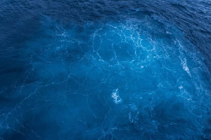 The ocean produces roughly half of Earth’s oxygen — not the rainforest, which uses up most of what it makes — through photosynthesis by phytoplankton, microscopic marine organisms so abundant that a single teaspoon of seawater can contain as many as