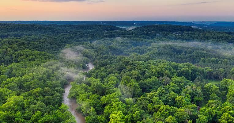 Every year, 27.7 million tons of Saharan dust crosses the Atlantic Ocean and settles on the Amazon rainforest, delivering roughly the exact amount of phosphorus the rainforest loses to runoff, which means the world's most productive forest is fertilised, year afte