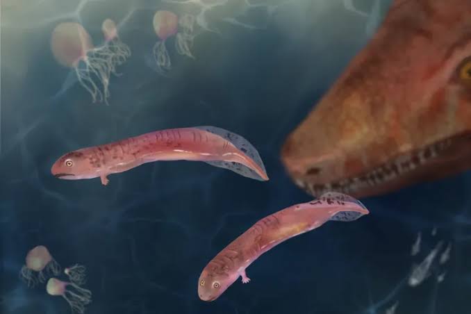 A Vietnam Veteran Collected Fossils for 66 Years. One, Mislabeled 'Baby Lamprey,' Made Paleontologists Reconsider How Vertebrates Moved From Water to Land