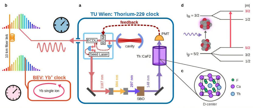 Nuclear clocks tick for the first time