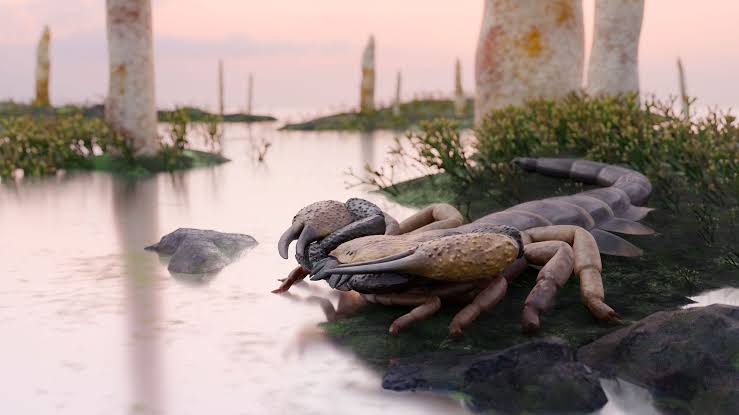 A Giant Scorpion the Size of a Coffee Table Is Forcing Scientists To Rethink Evolution