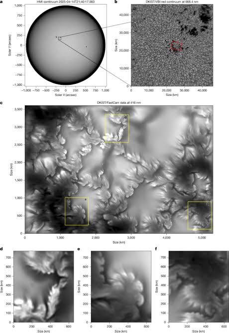 Ubiquitous Kelvin–Helmholtz instabilities driving plasma mixing on the Sun