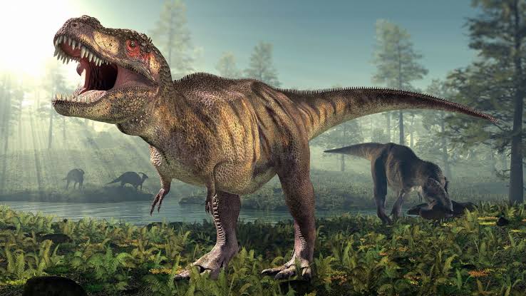 The mystery of T. rex’s tiny arms might finally be solved