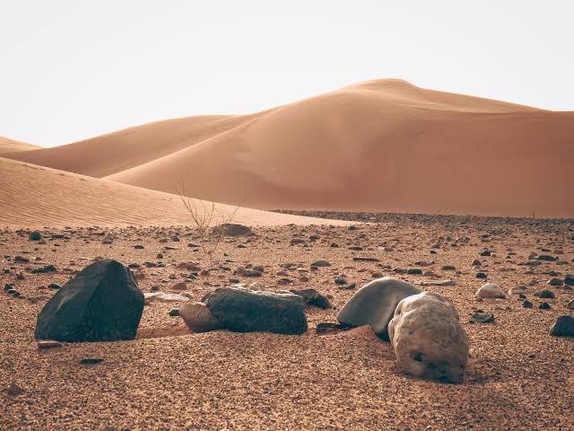 Why does roughly 27 million tonnes of desert dust cross an ocean each year to fertilise a rainforest on the other side of the planet?
