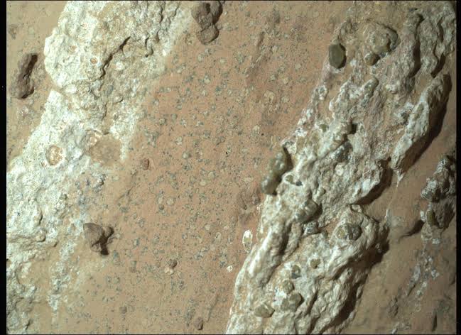 In September 2025, NASA announced that a Perseverance sample from a Mars rock called Cheyava Falls contained one of the strongest potential biosignatures yet found on the planet: evidence of ancient water, organic carbon, and chemical reactions that co