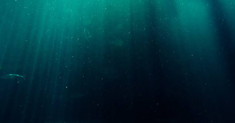 In 2019, Victor Vescovo made the deepest solo dive in human history, descending nearly 11 kilometres into the Challenger Deep, and at the bottom of the ocean he reported seeing what looked like a plastic bag