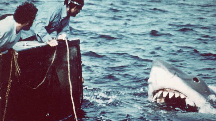 The Real-Life Story Everyone Associates With 'Jaws' Isn't the One That Inspired It