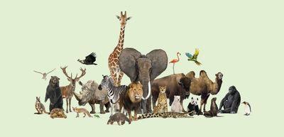 All Animals, Plants, And Fungi May Share A Common Ancestor Known As The "Asgardians"