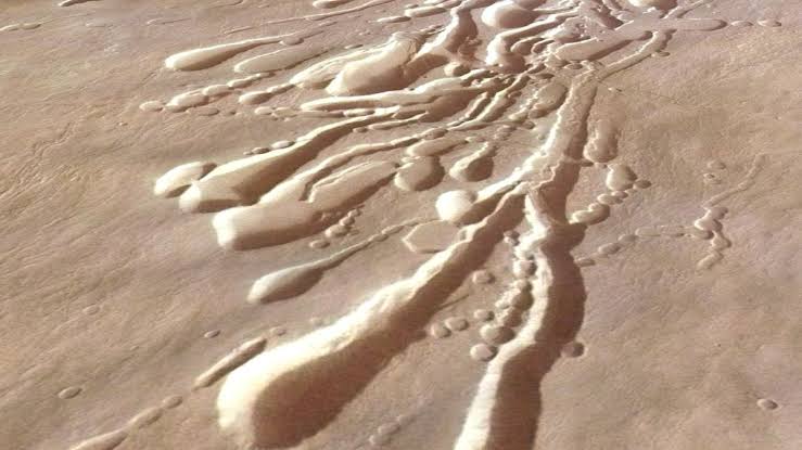 Scientists want to send a roly-poly robot filled with 'dandelion drones' to investigate hidden tunnels on Mars