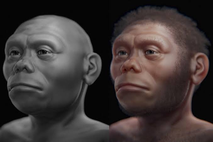 Here’s How This ‘Hobbit’-Like Human Ancestor Survived on an Island with Komodo Dragons