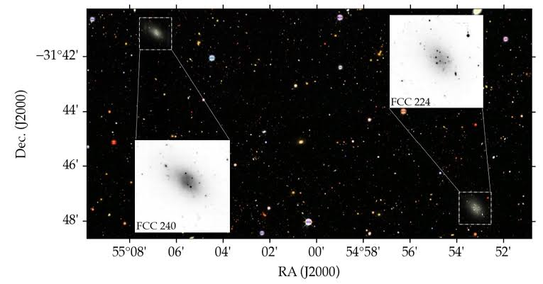 Possible dark matter-deficient twins discovered in the Fornax Cluster