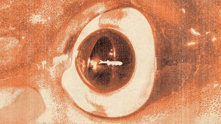 Not just folklore: A giant kraken-like octopus terrorized the seas in the age of dinosaurs