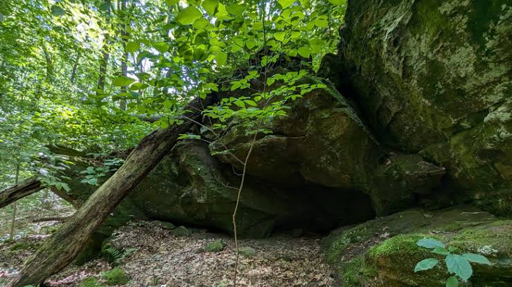 Between Indianapolis And Evansville Is A Hilly Nature Preserve For Hiking, Seasonal Waterfalls, And Serene Vibes