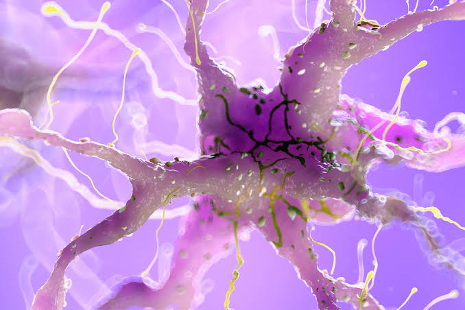 Cambridge Scientists Just Reversed a Form of Nerve Damage Once Thought Permanent