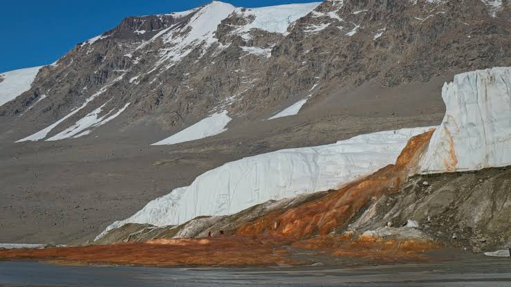 Antarctica’s Blood Falls teems with life from unexpected source