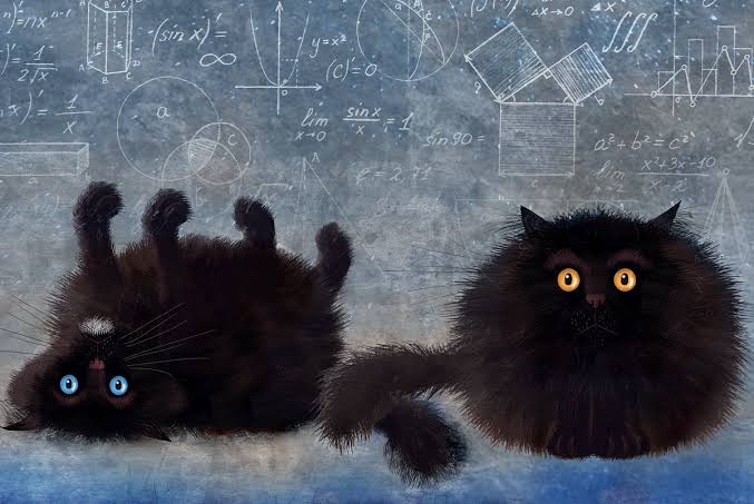Schrödinger’s Kittens Are All Grown Up