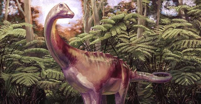 Fossil found tucked away in a drawer turns out to be first dinosaur bone from Antarctica