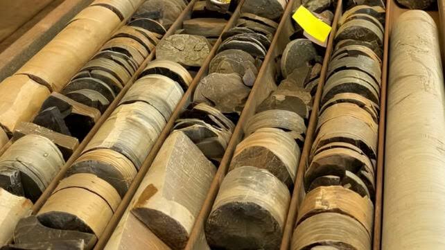 Rocks Kept in a Warehouse For Decades Held a Major Clue to Complex Life