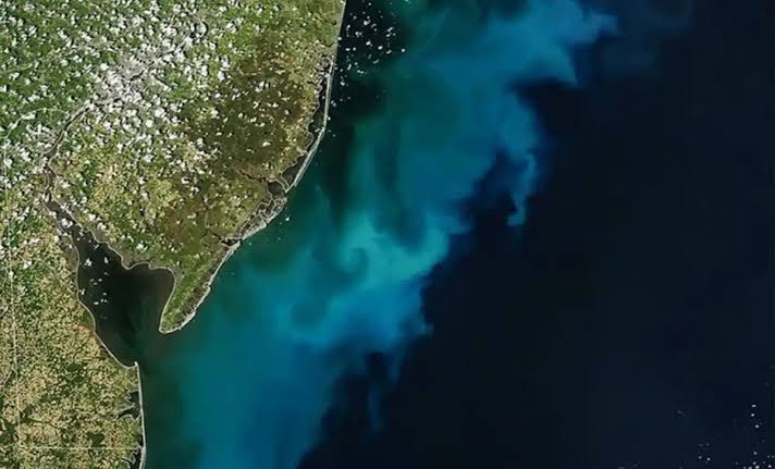 NASA Spots Massive Blue-Green Bloom Swirling Off the U.S. East Coast, Visible From Space