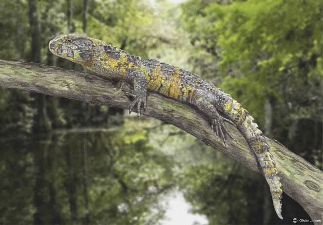 83-Million-Year-Old Crocodile Lizard Fossil Unearthed in France