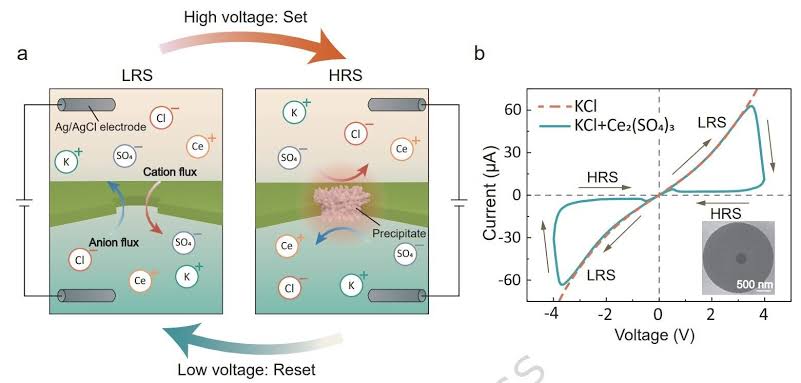 Brain-inspired nanopore device uses current-induced heating for memory operations