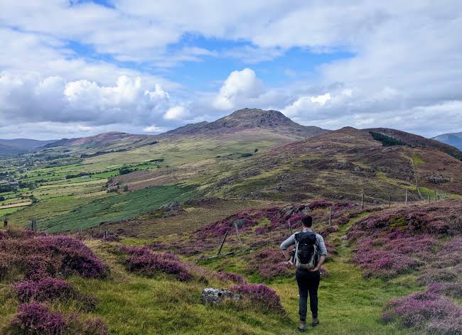 Ancient Irish volcano offers new clues about the development of its modern-day, active 'brothers and sisters'