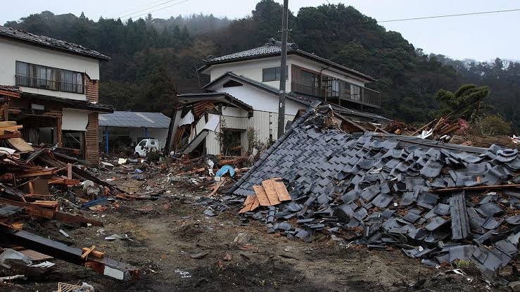 Japan's 2011 quake waves bounced off Earth's core, moving land