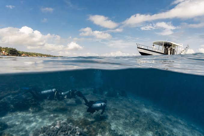 Divers may think they protect reefs, but one unseen habit is taking a steady toll
