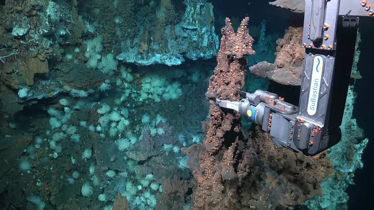 When a deep-sea robot ventured down into the Atlantic's Doldrums, it found something massive no one expected – leaving scientists stunned