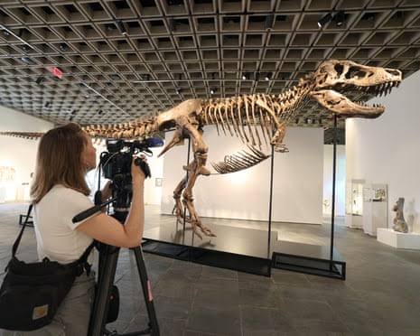 Sale of multimillion-dollar T rex skeleton is big headache for scientists
