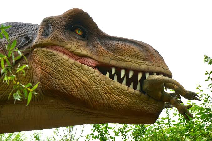 For much of the past century, scientists believed dinosaurs were already in decline when the asteroid struck 66 million years ago — but a 2025 study published in Science found fossils in New Mexico showing they were flourishing in diverse, thriving ecosyste