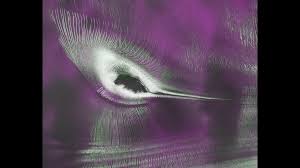 Satellite spots a 'hummingbird' in Antarctica photo of the day for July 23, 2026