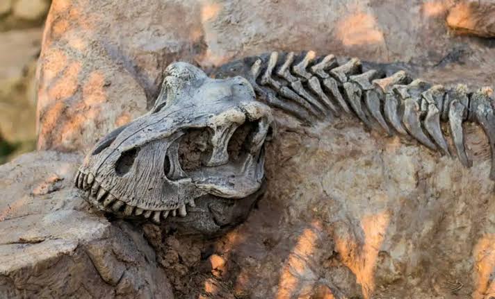 Forget the Roars: This Exceptional Fossil Reveals Dinosaurs Communicated More Like Birds Than Movie Monsters