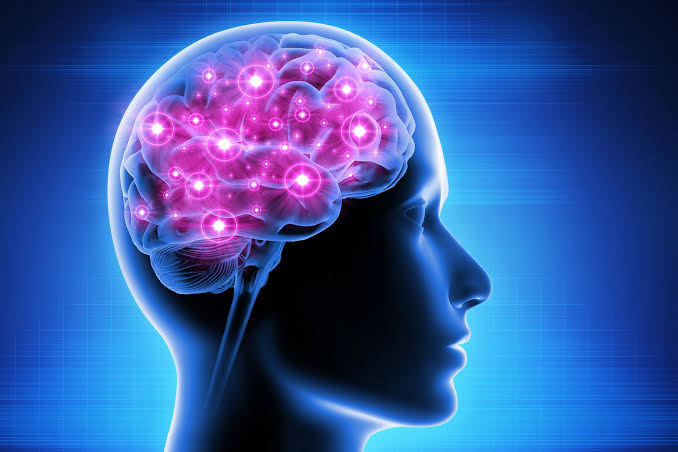 “Super Bizarre” – Neuroscientists Discover That Adult Brain Is Filled With Millions of “Silent Synapses”