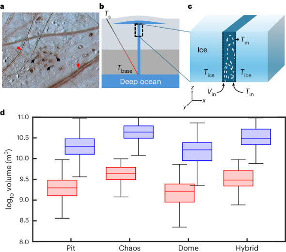 Limited direct fluid exchange between the deep subsurface ocean and the shallow subsurface environment of Europa