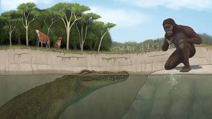 “It would have seen Lucy and thought, ‘Dinner.’” The newly-discovered prehistoric monster croc that would have terrified – and hunted – humans