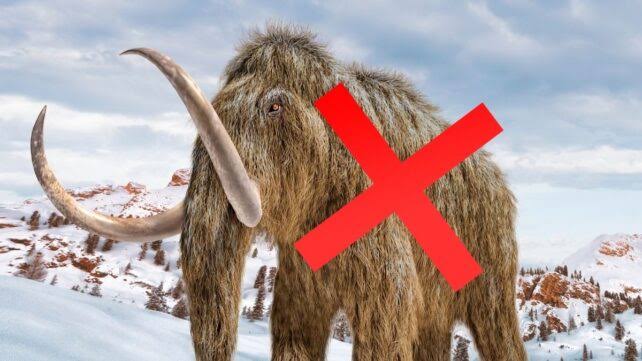 'Mammoth' Bones Kept in a Museum For 70 Years Turn Out to Be Entirely Different Animal
