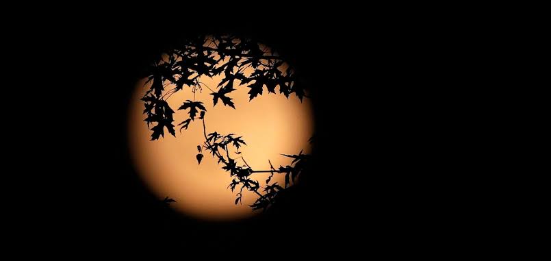 The strawberry moon will soon rise. When to look up.