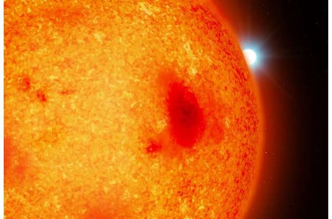 Hidden environment: Astronomers discover four white dwarfs hiding under our noses