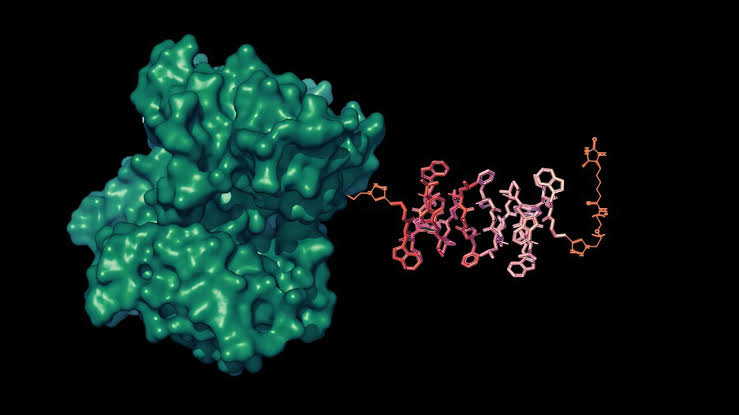 New MRI sensors detect target molecules in the brain and body with high sensitivity
