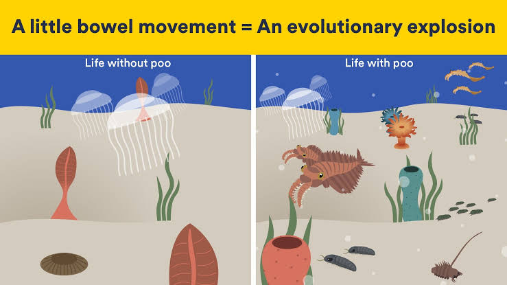 How the 'fecal revolution' changed Earth's ecosystems