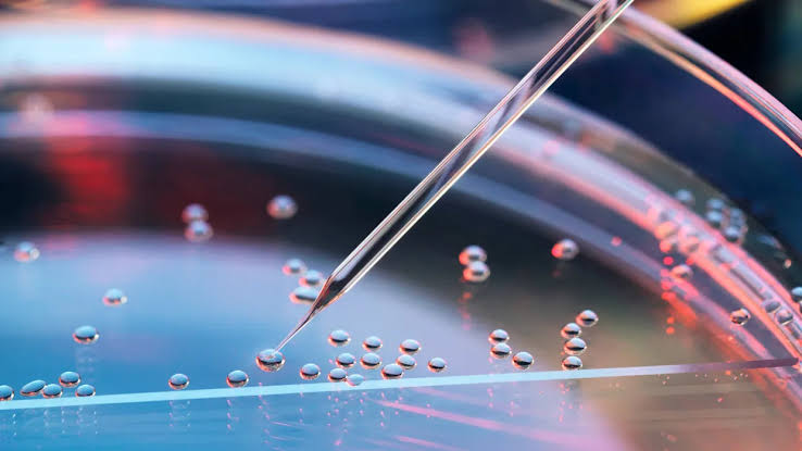 China Launches Artificial Human Embryos to See If They Can Develop in Space