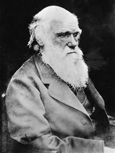 Scientists Confirm Darwin Hunch 150 Years Later