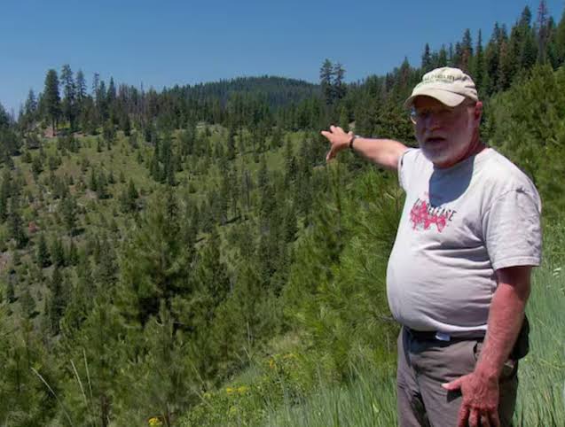 The world’s largest fungus is hiding in Oregon’s Blue Mountains — and its really big