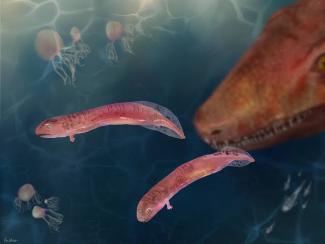 Fossilized babies of ancient crocodile-like predators uproot understanding of how animals adapted to the land