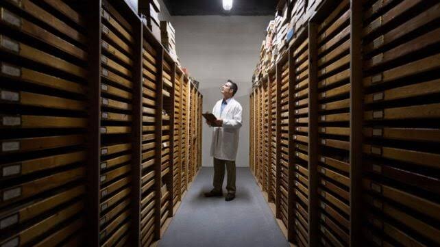 Scientists Keep Finding Major Discoveries Lurking in Museum Backrooms
