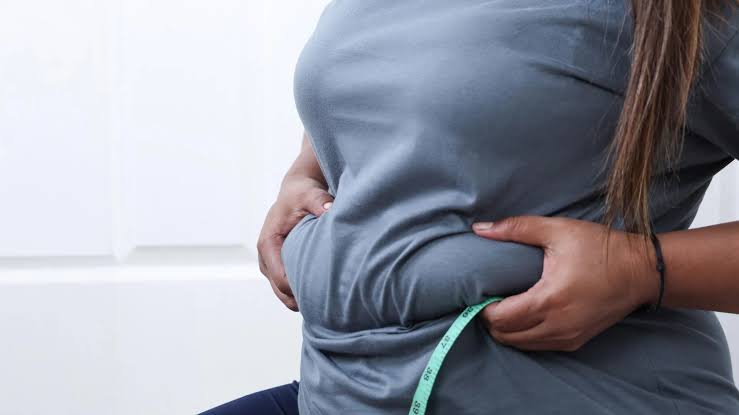 Scientists discover what triggers belly fat as we age